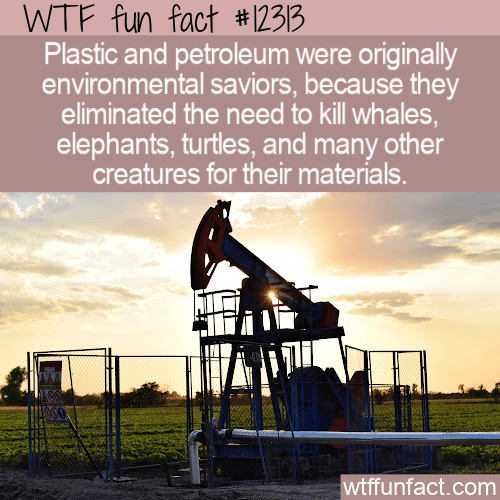 WTF Fun Fact - Petroleum Outlook
