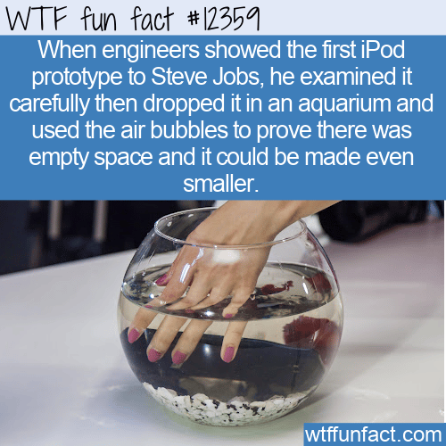 WTF Fun Fact - Steve Jobs iPod Air Bubbles