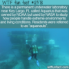 WTF Fun Fact – Aquarius