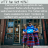 WTF Fun Fact – Domino’s Tartan