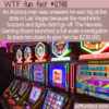 WTF Fun Fact – Double the luck in Vegas