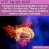 WTF Fun Fact 12403 – Your Brain on Math