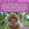 WTF Fun Fact – Zoo serenades monkeys
