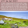 WTF Fun Fact 12427 – A Wooly Plummet