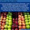 WTF Fun Fact 12562 – Aging Apples