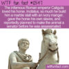 WTF Fun Fact 12547 – Caligula’s Equine Obsession