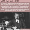 WTF Fun Fact 12572 – Einstein Never Failed Math