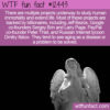 WTF Fun Fact 12443 – Immortal Billionaires