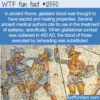 WTF Fun Fact 12550 – Magical Gladiator Blood