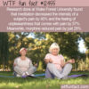 WTF Fun Fact 12455 – Meditation Relieves Pain