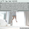 WTF Fun Fact 12440 – Professional Mattress Jumping