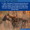 WTF Fun Fact 12444 – Roosevelt’s Pet Hyena