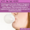 WTF Fun Fact 12450 – Singapore’s Gum Laws