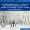 WTF Fact 12437 – The Speed of Snow