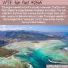 WTF Fun Fact 12565 – The World’s Largest Waterfall