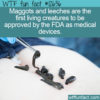 WTF Fun Fact 12636 – A Medical Device That’ll Make You Squirm