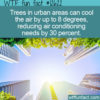 WTF Fun Fact 12622 – Air Conditioning Trees