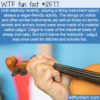WTF Fun Fact 12577 – Catgut strings