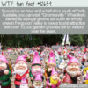 WTF Fun Fact 12634 – Gnomesville, Australia