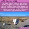 WTF Fun Fact 12616 – How to Snail Mail An Alien