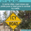 WTF Fun Fact 12629 – Pickled Roads