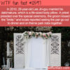 WTF Fun Fact 12597 – The Man Who Married A Pillow