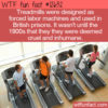 WTF Fun Fact 12632 – The Penal Treadmill