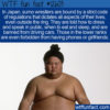 WTF Fun Fact 12603 – The Rigors of Sumo Wrestling
