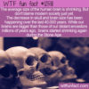 WTF Fun Fact 12581 – The Shrinking Human Brain