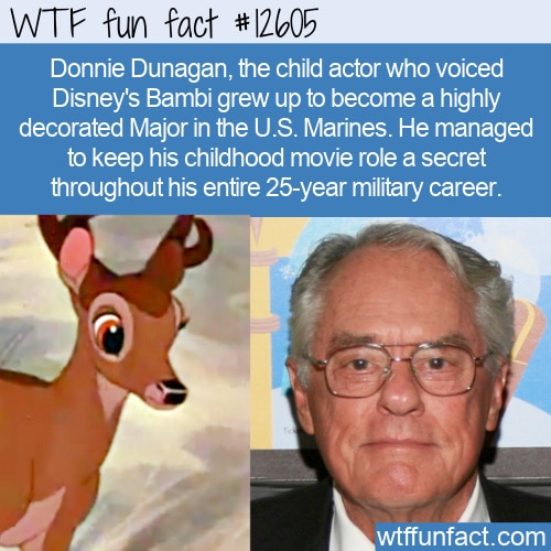 WTF Fun Fact 12605 - The Voice of Bambi