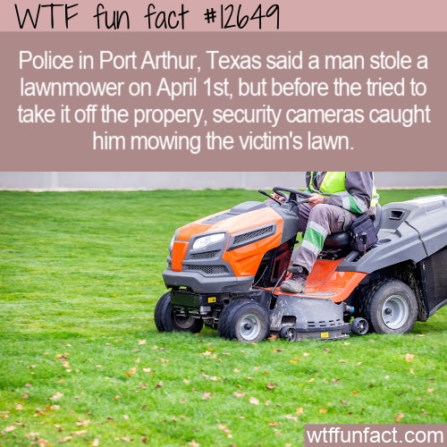 WTF Fun Fact 13447 - Law Student Caught Cheating