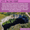 WTF Fun Fact 12685 – A Pristine Forest In A Sinkhole
