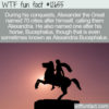 WTF Fun Fact 12655 – Alexander the Great and His Horse