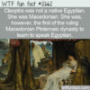 WTF Fun Fact 12662 – Cleopatra Was Not An Egyptian By Birth
