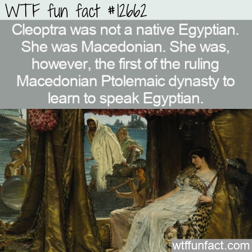 Ptolemaic dynasty Facts for Kids