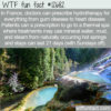 WTF Fun Fact 12682 – France’s Water Cures