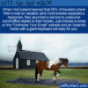 WTF Fun Fact 12679 – OutHorse Your E-Mail