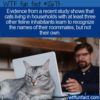 WTF Fun Fact 12673 – What’s In A (Cat’s) Name?