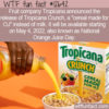 WTF Fun Fact 12642 – The Cereal Made for Orange Juice