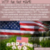 WTF Fun Facts 12690 – The Official Creation of U.S. Memorial Day