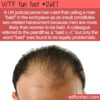 WTF Fun Fact 12687 – The Problem With Pointing Out Baldness