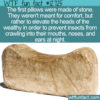 WTF Fun Fact 12725 – Ancient Stone Pillows