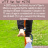 WTF Fun Fact 12738 – Balance For Better Health