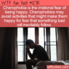 WTF Fun Fact 12715 – Cherophobia