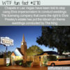 WTF Fun Fact 12710 – Elvis Is Leaving Vegas