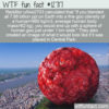 WTF Fun Fact 12717 – Humanity In A Meatball