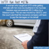 WTF Fun Fact 12716 – Insurance Pays For Man’s Dishonesty