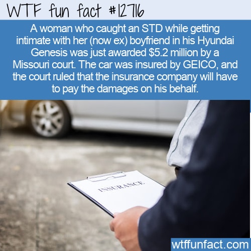 WTF Fun Fact 12821 - Lemmings Don't Commit Mass Suicide