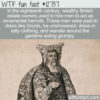 WTF Fun Fact 12737 – Ornamental Hermits