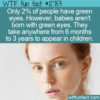 WTF Fun Fact 12753 – The Rarity of Green Eyes